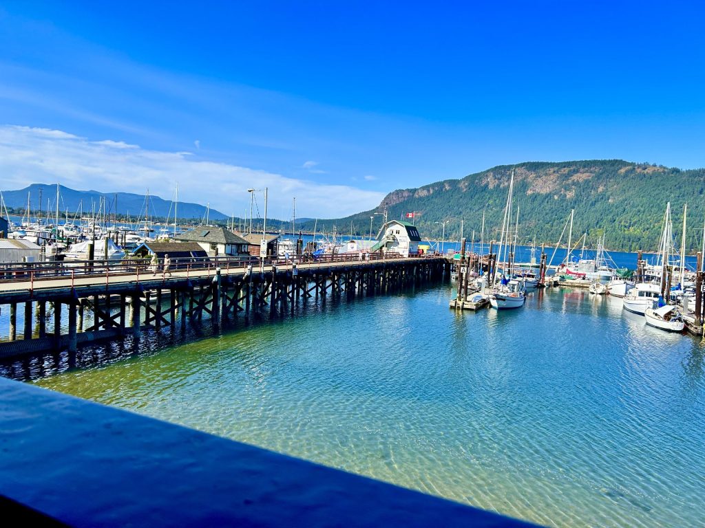 View from Cowichan Bay Pub Deck