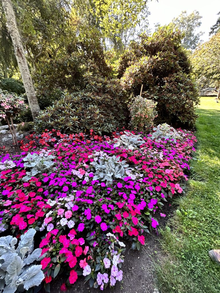Color Amongst the Greenery