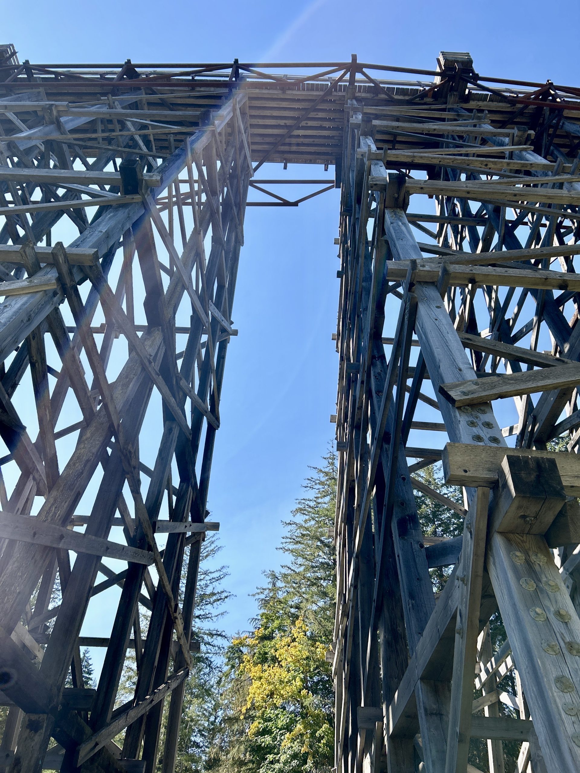 Infrastructure of the Kinsol Trestle from the path below.