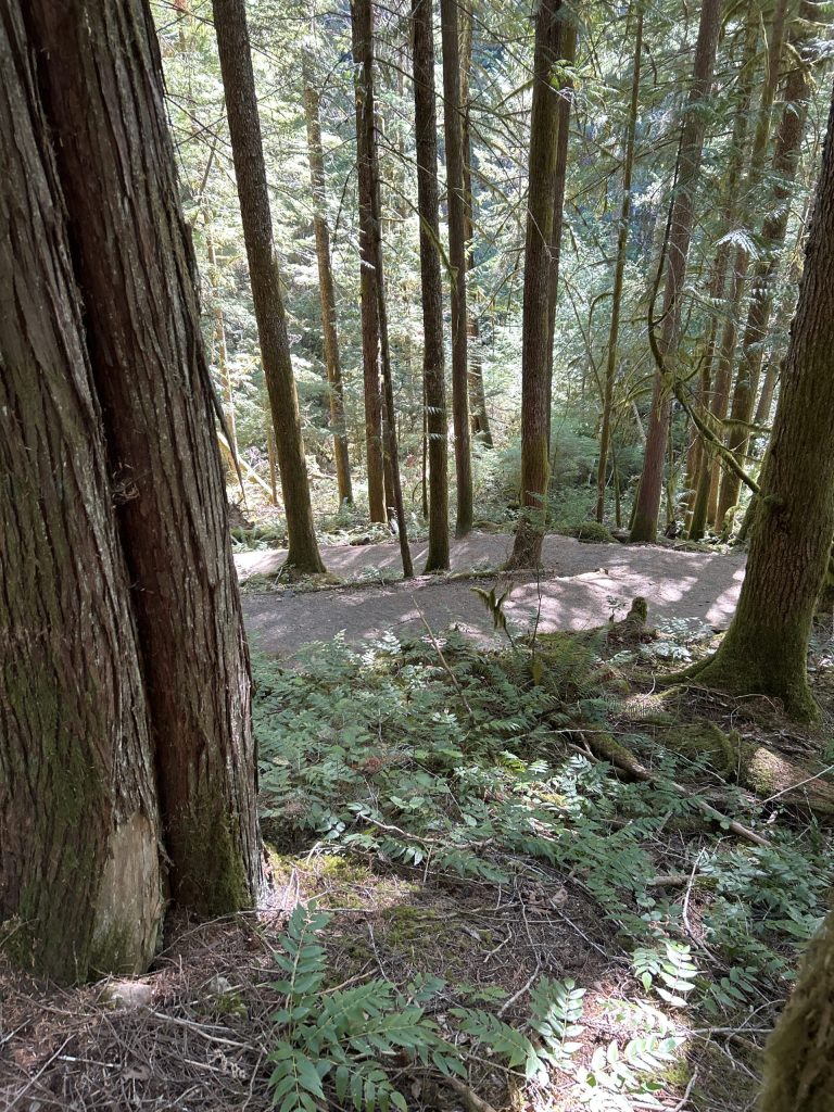 Path Down to Koksilah River