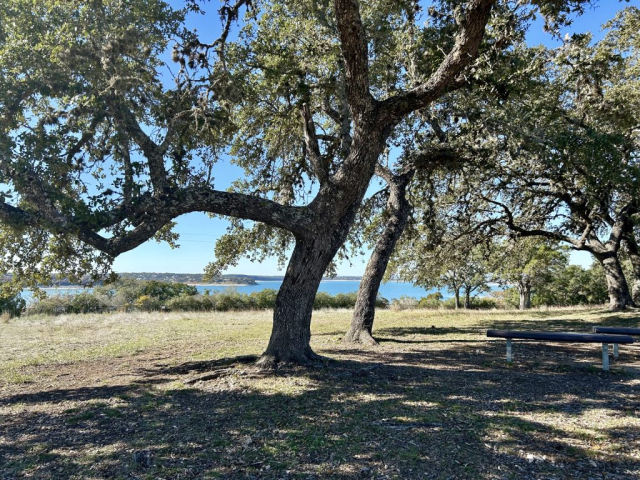 View of Canyon Lake in the background from Overlook Park