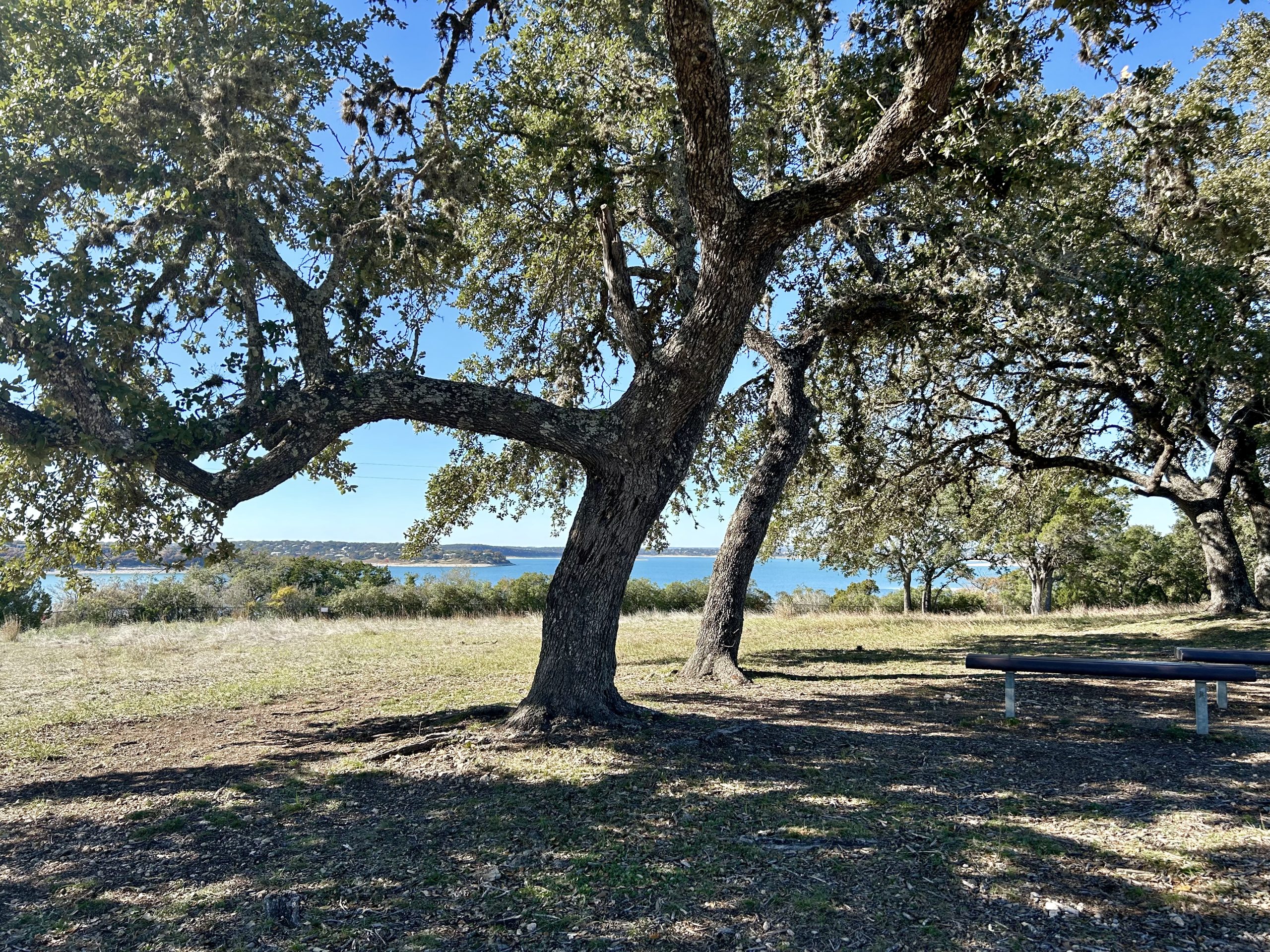 View of Canyon Lake in the background from Overlook Park