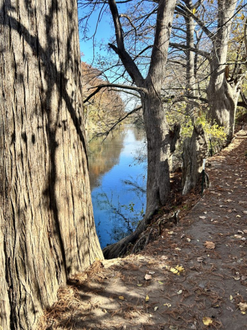 The Guadalupe River has such a gentle flow, it looks like glass downstream. Guadalupe River South Trail, Canyon Lake, Texas.