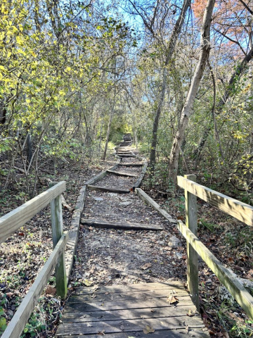 The Guadalupe River South Trail is an easy walk in the park. Canyon Lake, Texas.