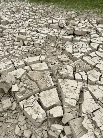What My Skin Looks Like in the Desert, Santa Elena Canyon, Big Bend National Park, TX