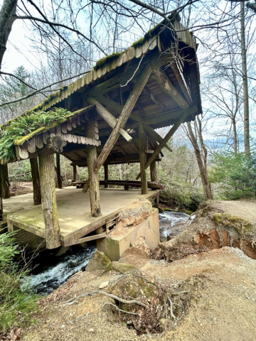 The shelter has been undermined by the river and is being overtaken by ferns, moss and fauna.