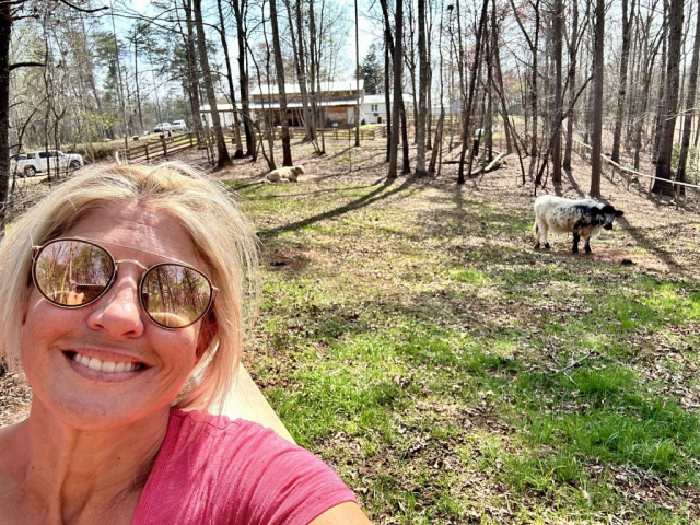 Laura being photo-bombed by cows at 52 West Brewing, Dahlonega, GA!