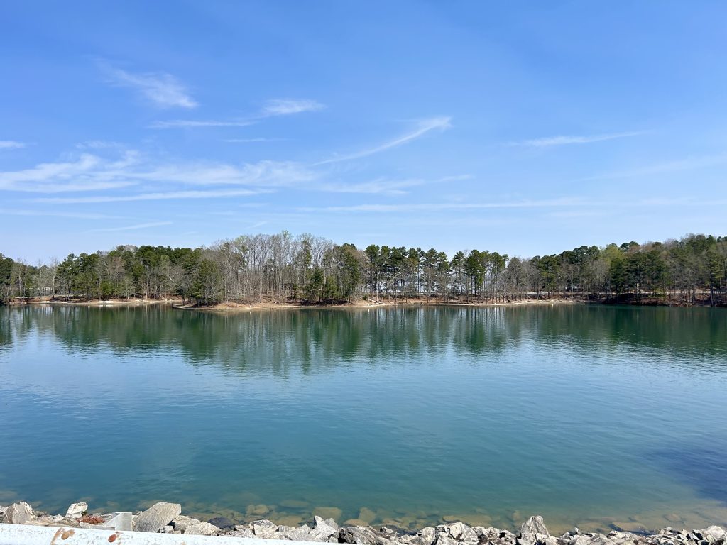 One of the small finger coves along Lake Lanier