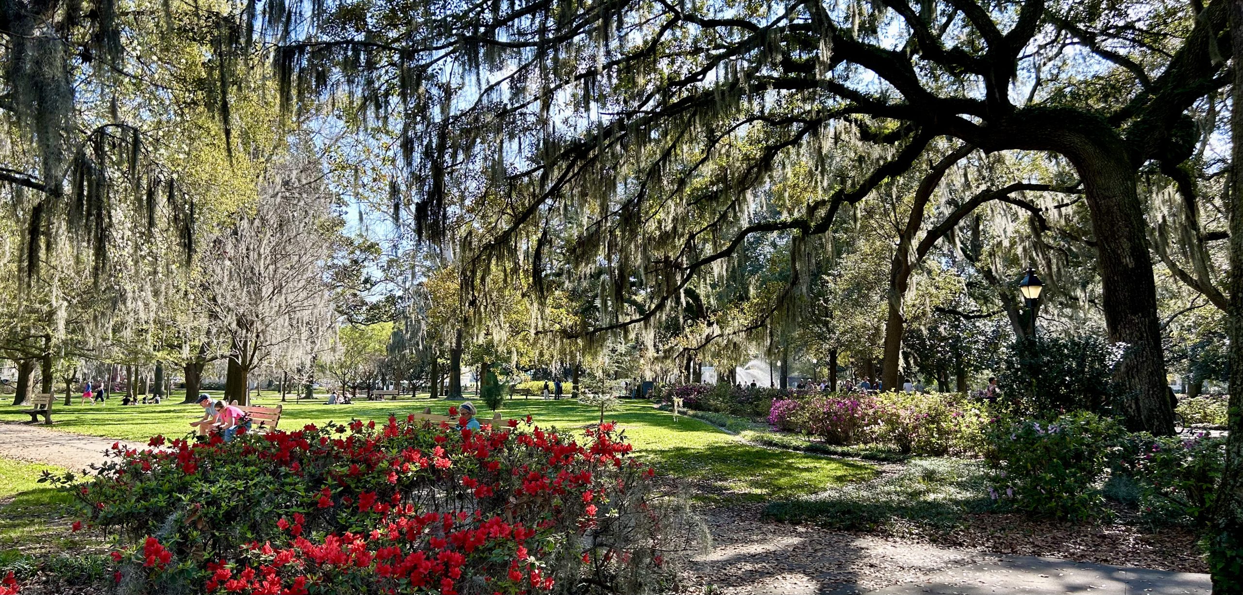 Georgia’s Low Country