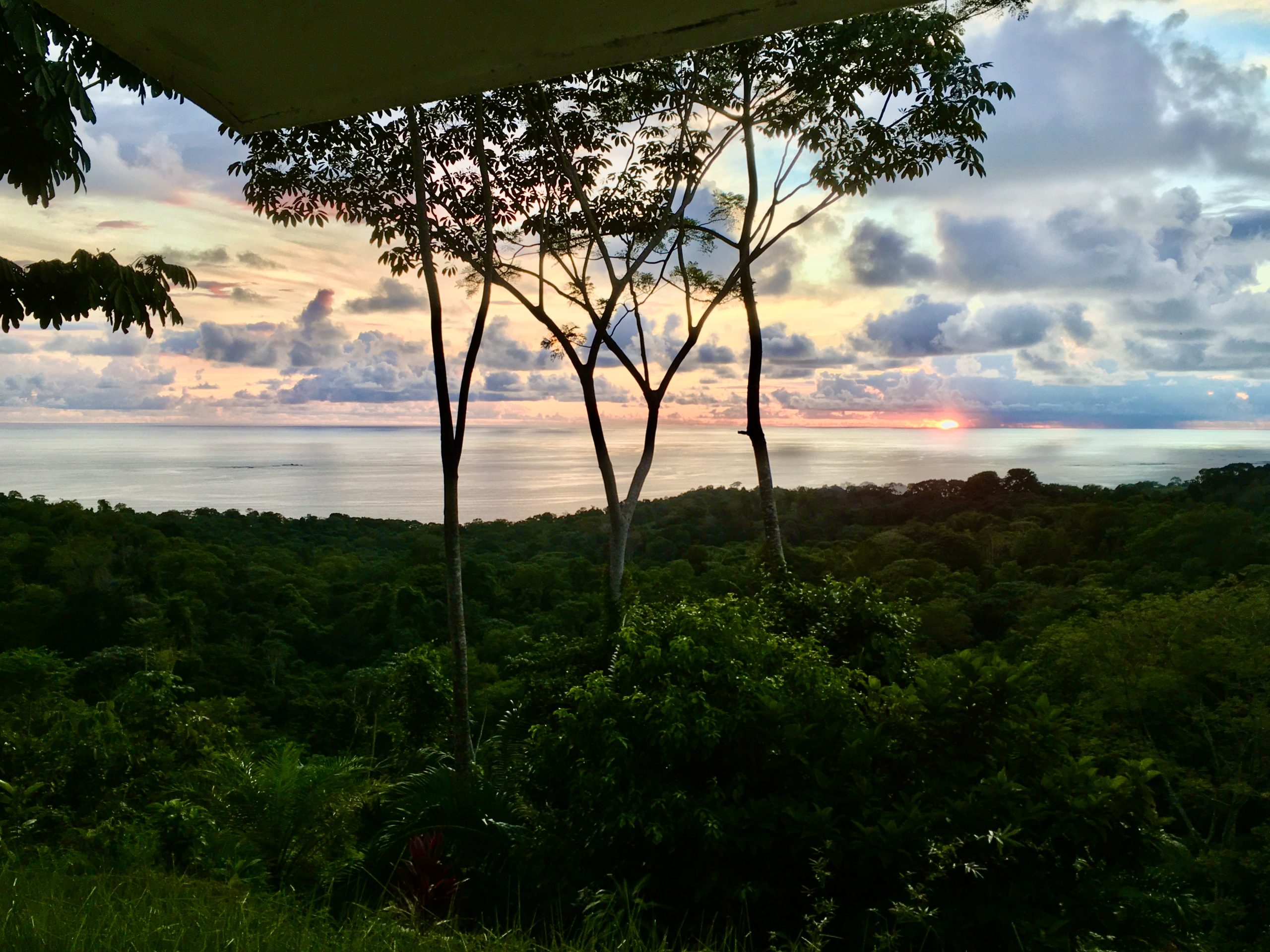 Sun setting over a smooth-as-glass pacific ocean and dense forest in Uvita, Costa Rica.